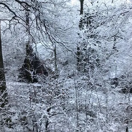 Campeggio Sunclass 205